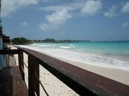 Add the salmon fillets and rub with the. Fish Tacos Are Amazeballs Review Of Surfer S Cafe Oistins Barbados Tripadvisor