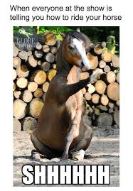 Silence Is Golden Funny Horse Memes Cute Horses Animals Beautiful