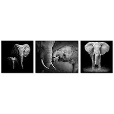 Black And White Elephant Wall Pictures Animal Canvas Wall Art Decor Black And White Elephant Picture On Canvas Elephant Painting Artwor Elephant Canvas Wall Art Canvas Art Wall Decor Elephant Canvas