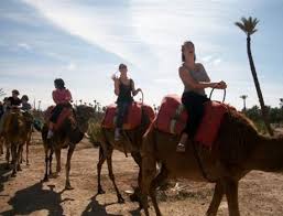 With so many things to do in marrakech, planning the perfect day out may seem like a daunting task. Marrakech Tours Trips Book Best Rated Things To Do