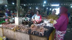 Telur ayam kampung kaya di pasaran, dikenal dua jenis telur yang bisa anda dapatkan, yakni telur ayam kampung dan telur. Makin Langkah Harga Ayam Potong Tembus Rp 45 000 Ayam Kampung Rp 60 000 Per Kilogram
