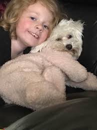 Missing dog in Granbury area near Blue Branch Ranch