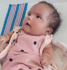 Santee Sioux Nation Artist Initiative and Minnesota Historical Society  Residency Program