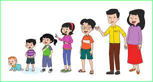 Manfaat air bagi manusia secara garis besar banyak kegiatan manusia yang membutuhkan air, antara lain digunakan untuk: Kunci Jawaban Buku Siswa Tema 6 Kelas 6 Halaman 21 25 26 27 Sanjayaops