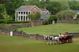 24 Best Roots Thomasville Ga Ideas Thomasville Thomasville Ga Thomasville Georgia