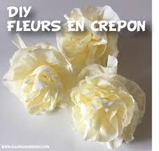 Comment faire de superbes fleurs en papier crépon ou papier du papier de soie * fil ciseaux * papier de soie ne sont pas facilement disponibles ici et étape 1: 2 Comments On Diy Fleurs En Papier Crepon Tuto Photos Facile