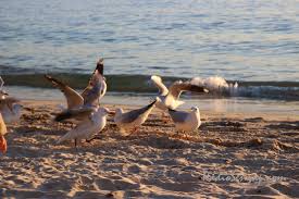 United kingdom (++44) 0800 078 9054. Duhai Bangsaku Marilah Kita Berubah Bersama Sama Part 2 Radio Senyap