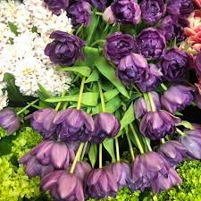 See more ideas about art painting, blue flowers, beginner painting. Flowers By Sue Home Facebook