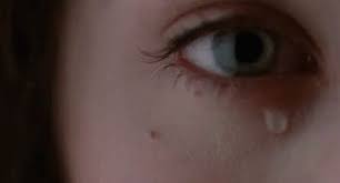 Inilah alasan islam mengharamkan anjingподробнее. Kim Berry Aamanda00211 Profil Pinterest