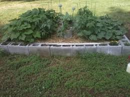 Arrange them in your favorite flower bed to spell out any fun or fiesty word to perk up the green atmosphere. Raised Garden Beds Made From Concrete Blocks How To Make A Cinder Block Garden
