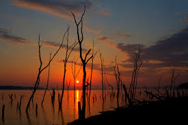 Maybe you would like to learn more about one of these? Morning Pictures Of Rising Sun Free Stock Photos Download 5 268 Free Stock Photos For Commercial Use Format Hd High Resolution Jpg Images