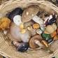 Mushroom Growing event image