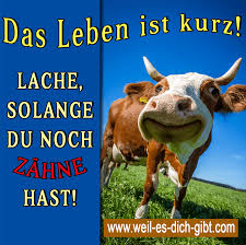 Das Leben Ist Kurz Lache Zahne Hast Lustige Spruche
