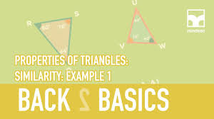 In this tutorial you will learn. Grade 12 Euclidean Geometry Back To Basics Properties Of Triangles Similarity Example 1 Youtube