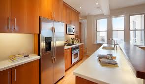 prospect park view alison rona designs