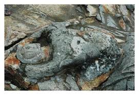 Marilah kita pergi tengok kata si talang. Kami Benci Anak Menantu Derhaka A K A Si Tanggang Posts Facebook