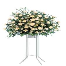 We did not find results for: Flower Delivery Japan Send Flowers To Japan Interflora India