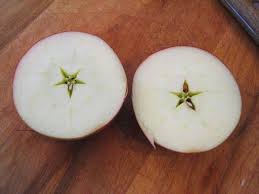 Une Etoile Dans Une Pomme Voir L Histoire Adaptee Par Fleur De Paix Une Etoile Du Cœur Fruit Apple Honeydew