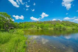 We did not find results for: Bridgeport Lakeview Ranch Republic Ranches