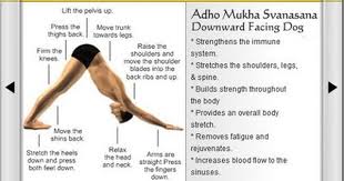 Wisdom Quarterly American Buddhist Journal How To Yoga Downward Dog Downward Dog Yoga What Is Yoga Yoga Benefits