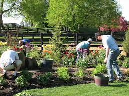 You can relax and enjoy your time in the backyard if you do not have to step over or around piles of. Do S And Don T Fo Spring Yard Clean Up Heidi S Growhaus And Lg