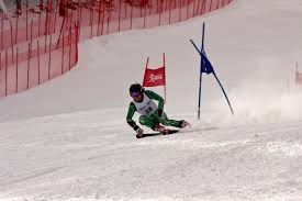 Along with the faster downhill, it is regarded as a speed event, in contrast to the technical events giant slalom and slalom. Super G Wikipedia