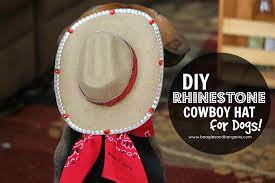 Book week is fast approaching and parents everywhere are hunting the shops for those crucial costume details that complete the book characters look. Diy Rhinestone Cowboy Hat For Dogs