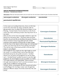 Adaptation, fitness, natural selection, trait, and evolution. Worksheet Evolutionary Patterns Answer Key