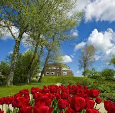 „et gah uns wol up unse olen dage. Nordfriesland Eine Radtour Von Seebull Richtung Nordsee Welt