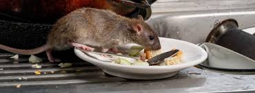 Prevention is less costly than elimination. 7 Pest Control Tips For Restaurants Entech Ph Entech