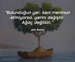 Oldugun Yer Səni Məmnun Etmirsə Yerini Dəyis Agac Deyilsən Jim Rohn Cool Words Words