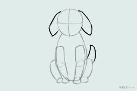 Hoe Teken Ik Een Zittende Hond Harry Potter Fatos Sobre Harry Potter Harry