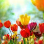 Profile Picture of Obituary information for Lorena Owen Griffith - K. L. Brown Funeral Homes (@klbrownfuneralhome.com) on Google