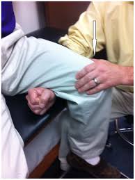 Image result for Fulcrum Test