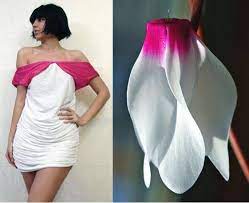 Endangered Flower Fashion Blooming Cyclamen At Diana Bobar Fashion Inspiration Design Fashion Designer Fashion Runway