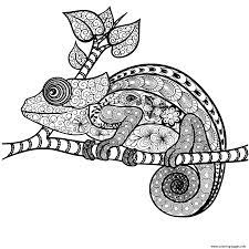 We did not find results for: Chameleon Mandala Adult Zentangle Coloring Pages Printable