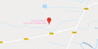Amoureux des vaches, jouez à nos jeux de traite dans lesquels vous devrez traire toutes les vaches. Ferme De La Patte D Oie Famille Peres Chambre D Hote Saint Michel Departement Du Gers