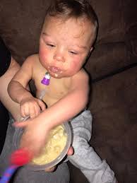 What food are you feeding your babies?