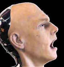 ARS ELECTRONICA 2017