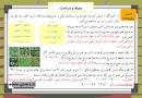 نتیجه تصویری برای جواب تمرین آموزشی ریاضی چهارم دبستان فصل ششم محیط و مساحت