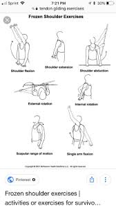 Image result for Shoulder Range of Motion Exercises