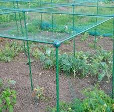 Netting your fruit trees is simple and effective. Fruit Vegetable Protection Frames Anti Bird Netting Plant Cage