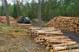 A range of bowl blanks, spindle blanks and pen blanks. Lumber Definition Facts Britannica