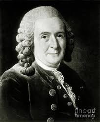 Botanist Photos Wall for Sale by Science Photo Library