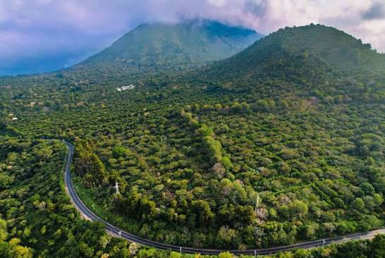 Reforestación en El Salvador