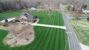 My grass finally turned green and got long enough to mow. O Poole First Mow Of The Year First Mow Since My Renovation The Lawn Forum