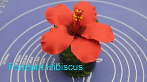 We did not find results for: How To Make Fondant Hibiscus Without Cutter Sugar Paste Hibiscus Hibiscus Making Youtube
