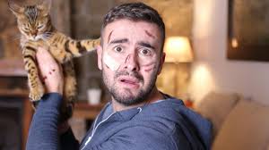 Applikation Security per DevSecOps: Fehlendes Knowhow