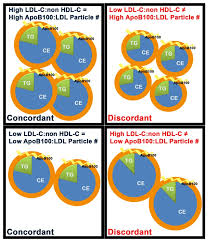 The Role Of Lipids And Lipoproteins In Atherosclerosis