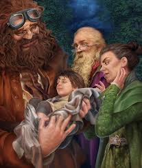 Bis zu seinem elften geburtstag glaubt er, ein ganz normaler junge zu sein. Harry Potter Und Der Stein Der Weisen Kap 1 Von Steamey Harry Potter Kitaplari Hermione Granger Harry Potter Sanati